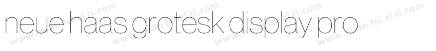 neue haas grotesk display pro 45 Li字体转换